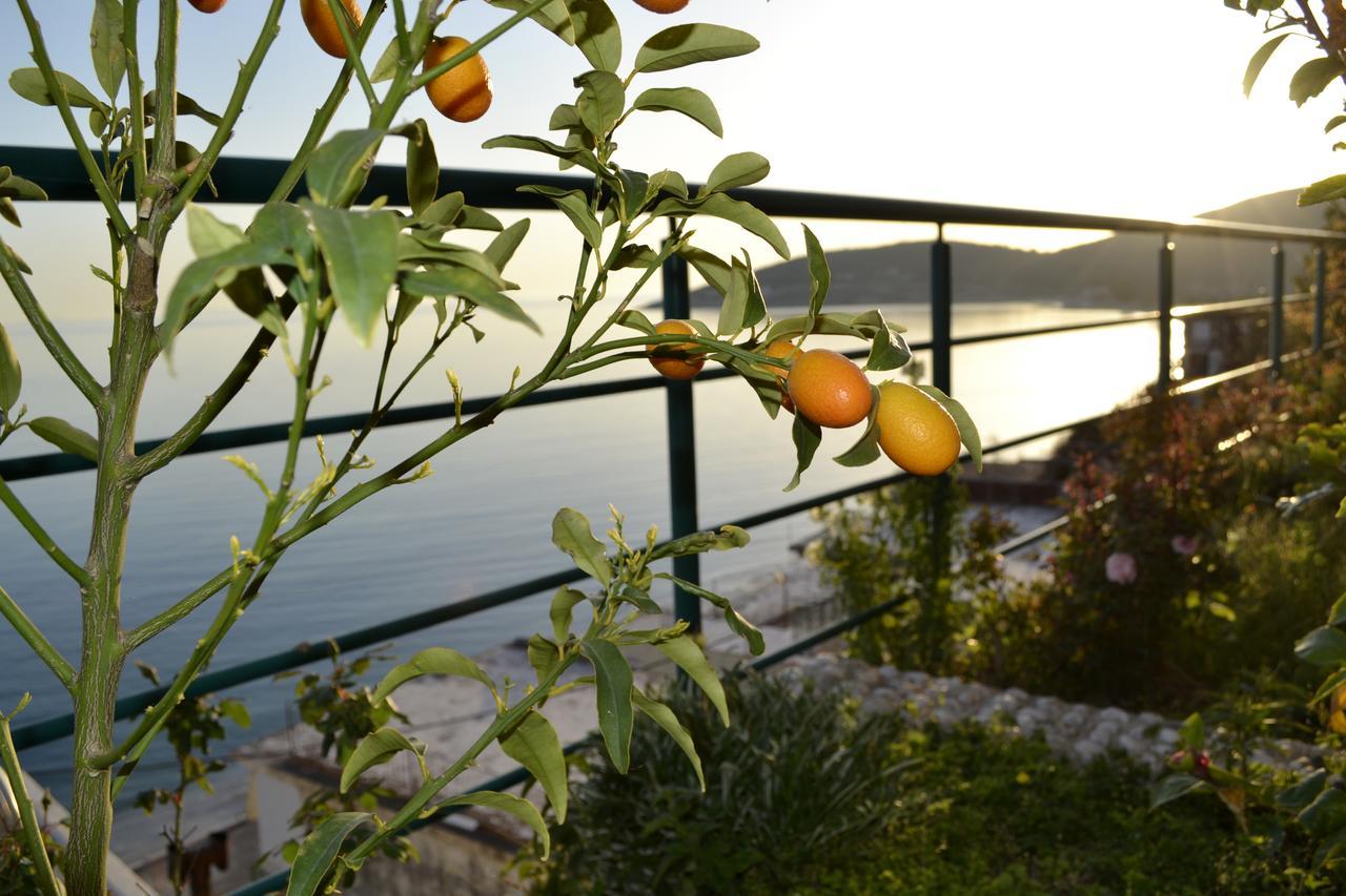 צ'פרו Villa Panorma מראה חיצוני תמונה